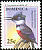 Belted Kingfisher Megaceryle alcyon  2001 Bird definitives 