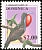 Great Frigatebird Fregata minor  2001 Bird definitives 