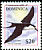 Sooty Tern Onychoprion fuscatus  2001 Bird definitives 