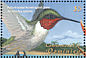 Ruby-throated Hummingbird Archilochus colubris  2001 Tropical fauna and flora  MS MS