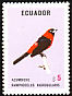 Masked Crimson Tanager Ramphocelus nigrogularis  1973 Birds 