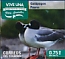 Swallow-tailed Gull Creagrus furcatus  2019 Vive UNA 8v booklet, sa