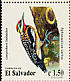Yellow-bellied Sapsucker Sphyrapicus varius  1999 Woodpeckers Strip