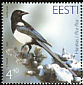 Eurasian Magpie Pica pica  2003 Bird of the year 