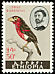 Double-toothed Barbet Pogonornis bidentatus  1962 Ethiopian birds 