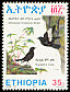 RÃ¼ppell's Black Chat Myrmecocichla melaena  1993 Endemic birds of Ethiopia 