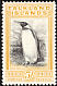 King Penguin Aptenodytes patagonicus  1933 British administration 