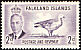 Upland Goose Chloephaga picta  1952 Definitives, George VI 