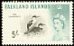 King Shag Leucocarbo albiventer  1960 Birds 
