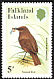 Blackish Cinclodes Cinclodes antarcticus  1982 Passerine birds 