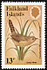 Grass Wren Cistothorus platensis  1982 Passerine birds 