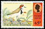 Two-banded Plover Anarhynchus falklandicus  1995 Shore birds 