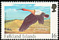 Buff-necked Ibis Theristicus caudatus  1998 Rare visiting birds 