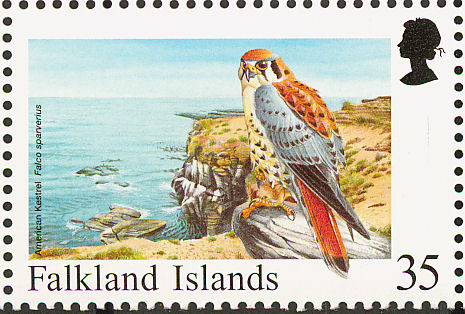 American Kestrel stamps mainly images gallery format