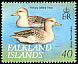 Yellow-billed Teal Anas flavirostris  1999 Ducks 
