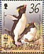Southern Rockhopper Penguin Eudyptes chrysocome  2002 WWF, penguins 