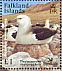 Black-browed Albatross Thalassarche melanophris  2003 BirdLife International Sheet
