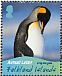 King Penguin Aptenodytes patagonicus  2010 Penguins Sheet, no frames