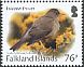 Austral Thrush Turdus falcklandii  2017 Birds definitives 