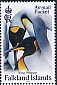 King Penguin Aptenodytes patagonicus  2023 King Penguin 
