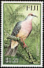 Barking Imperial Pigeon Ducula latrans  2001 Pigeons of Fiji 