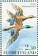 Mallard Anas platyrhynchos  1993 Water birds Booklet