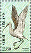 Eurasian Curlew Numenius arquata  1996 Shorebirds Sheet