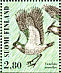Northern Lapwing Vanellus vanellus  1996 Shorebirds Sheet
