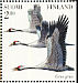 Common Crane Grus grus  1997 The Crane Sheet