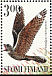 European Nightjar Caprimulgus europaeus  1999 Nocturnal summer birds Sheet