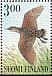 Corn Crake Crex crex  1999 Nocturnal summer birds Sheet