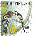 Lesser Spotted Woodpecker Dryobates minor  2001 Woodpeckers Sheet