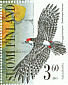 White-backed Woodpecker Dendrocopos leucotos  2001 Woodpeckers Sheet