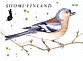 Eurasian Chaffinch Fringilla coelebs  2020 Migratory birds Sheet, sa