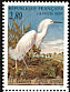 Snowy Egret Egretta thula  1995 Audubon p 12Â¾x12Â¼