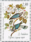 Band-tailed Pigeon Patagioenas fasciata  1995 Audubon Sheet, p 13Â¼