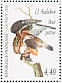 Rough-legged Buzzard Buteo lagopus  1995 Audubon Sheet, p 13Â¼