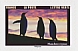 King Penguin Aptenodytes patagonicus  2022 Animals at dusk 12v booklet, sa