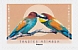 European Bee-eater Merops apiaster  2023 Tender animals 12v booklet, sa