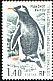 Gentoo Penguin Pygoscelis papua  1976 Definitives 