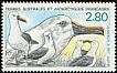 Atlantic Yellow-nosed Albatross Thalassarche chlororhynchos  1990 Yellow-nosed Albatrosses 