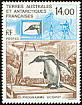 King Penguin Aptenodytes patagonicus  1993 Commemoratives 