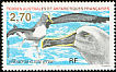 Grey-headed Albatross Thalassarche chrysostoma  1998 Albatross 