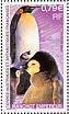 Emperor Penguin Aptenodytes forsteri  2002 Animals and their young 4v sheet