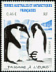 Emperor Penguin Aptenodytes forsteri  2002 Transition to Euro 