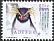 Southern Rockhopper Penguin Eudyptes chrysocome  2018 Penguins 