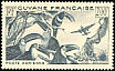 Black-necked Aracari Pteroglossus aracari  1947 Air 