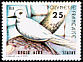 White Tern Gygis alba  1980 Birds 