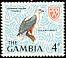 African Fish Eagle Icthyophaga vocifer  1966 Birds 