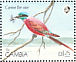 Northern Carmine Bee-eater Merops nubicus